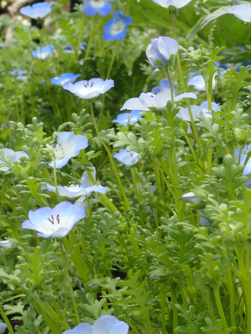 P4050290.JPG