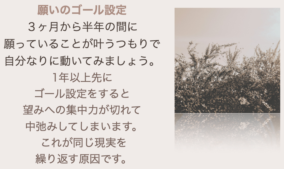 スクリーンショット 2024-08-07 20.47.52.png