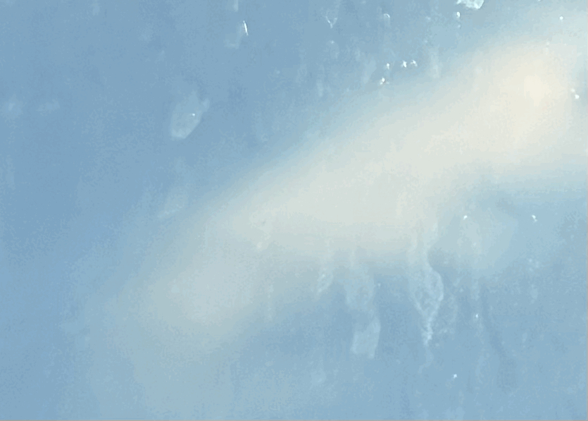 tempImageVBYYBP.gif