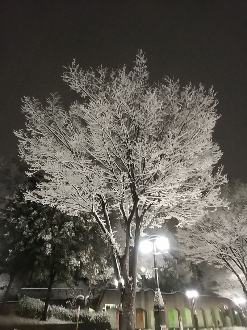 雪1.jpg