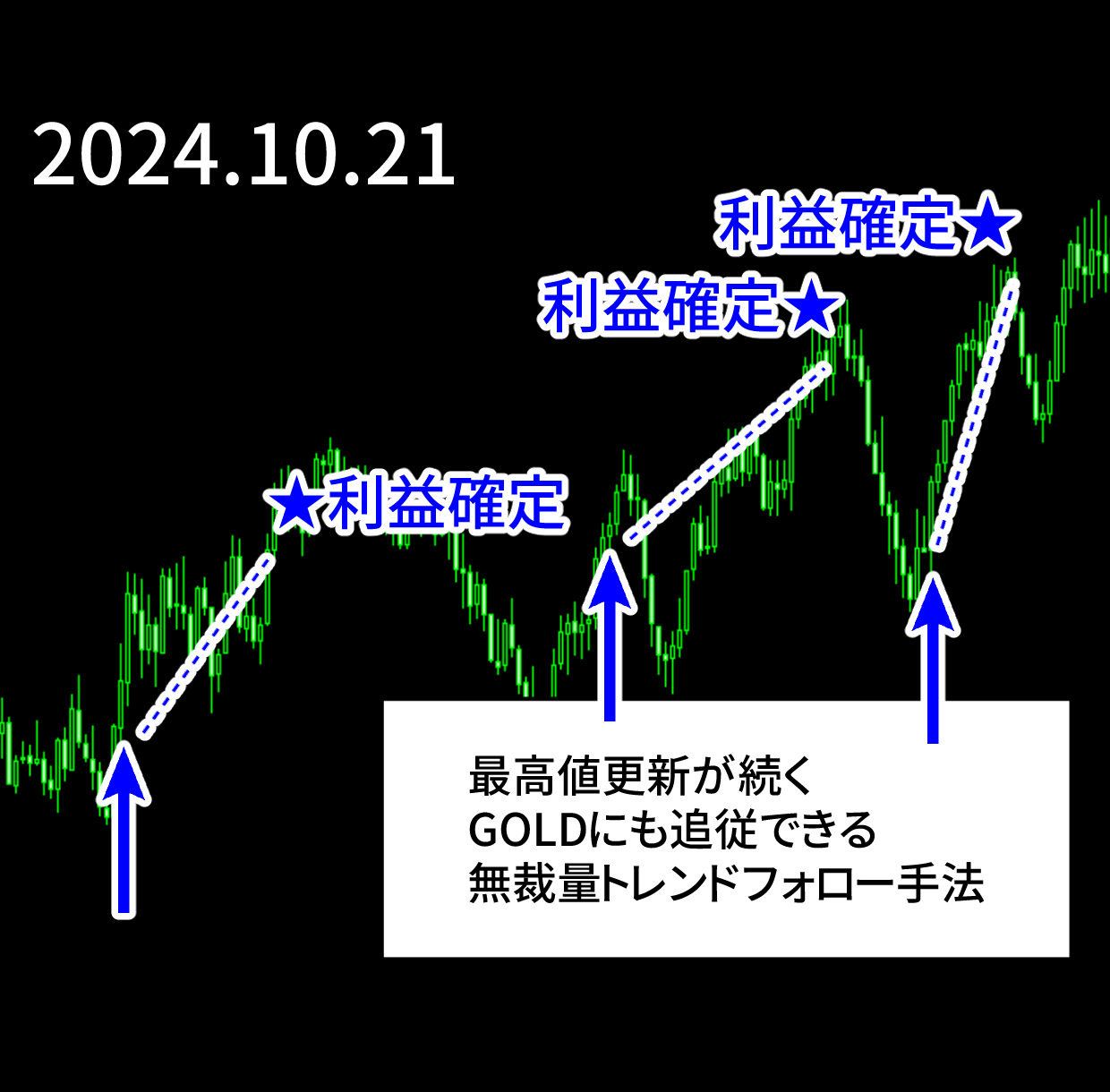 エントリー例_241021.png