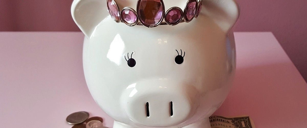 ブログ用piggy-bank-1446874_128012262023.jpg