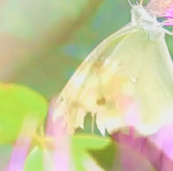 sketch-1688195641164 (6).png