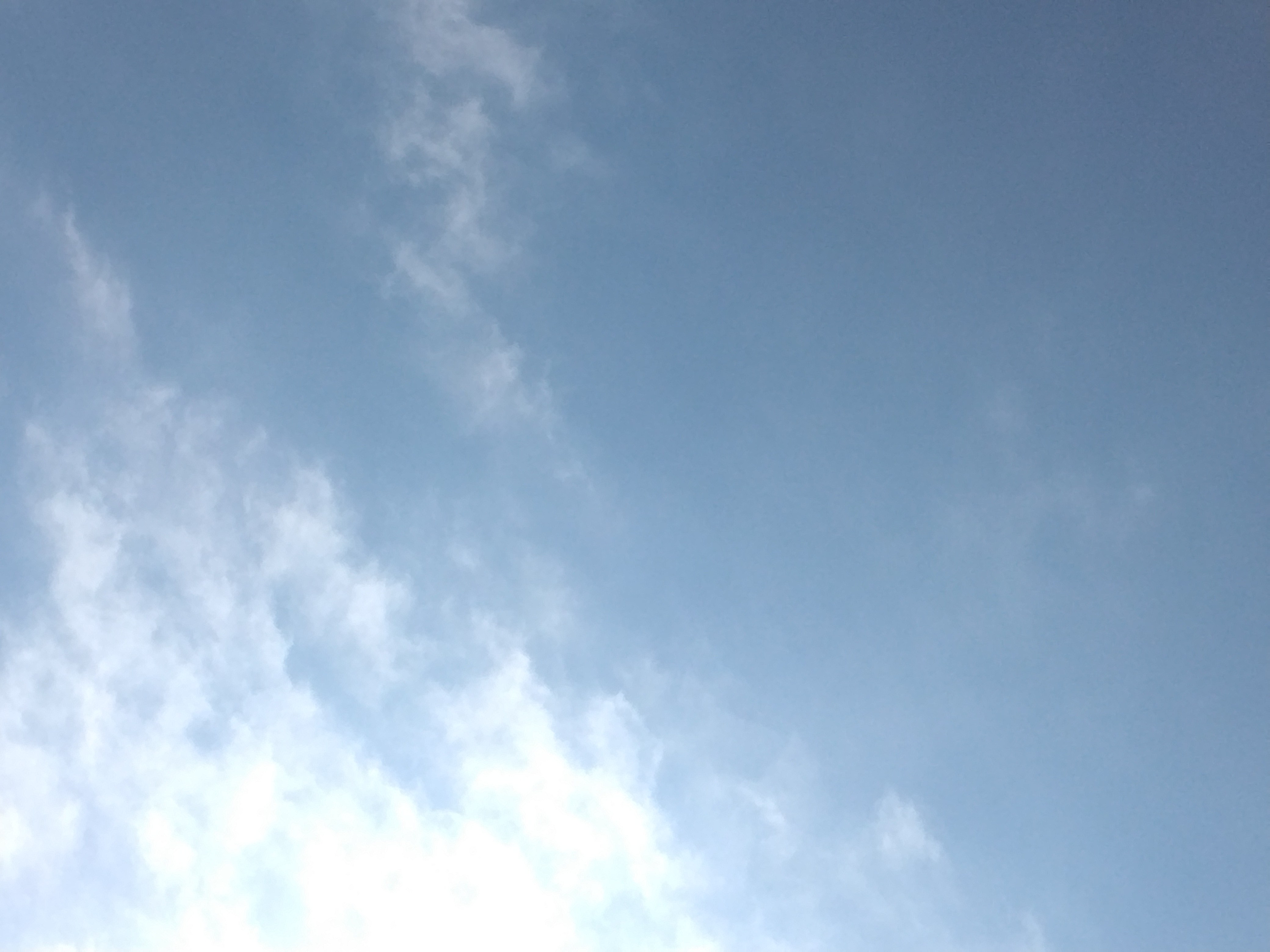IMG_20260119_103231.jpg