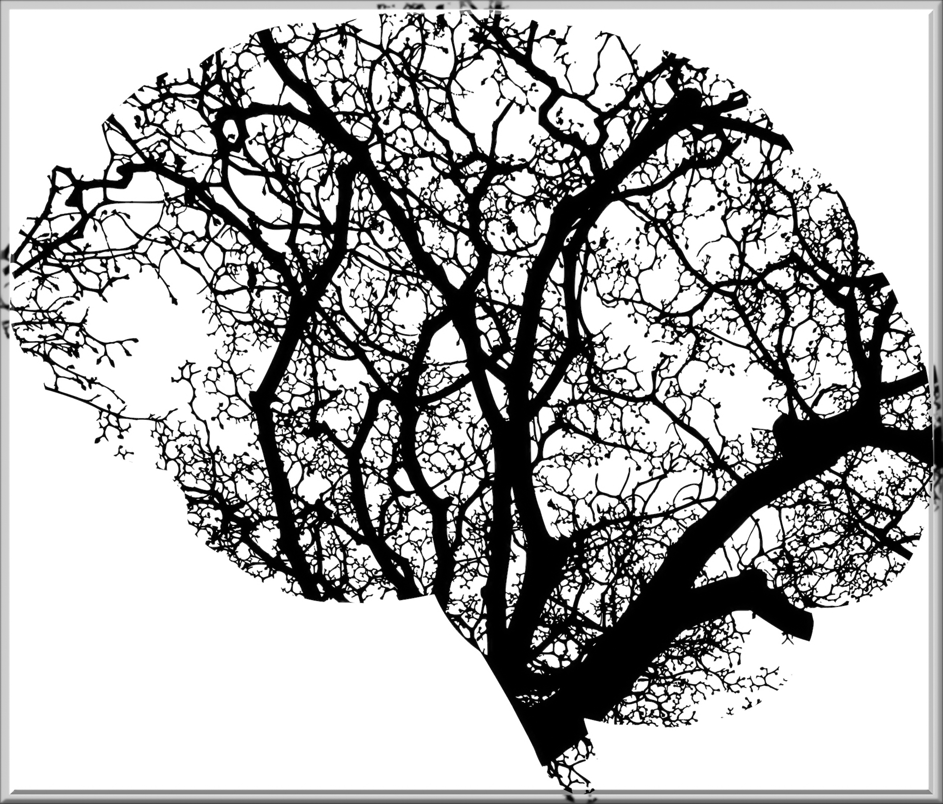 brain-2146817_edited.jpg
