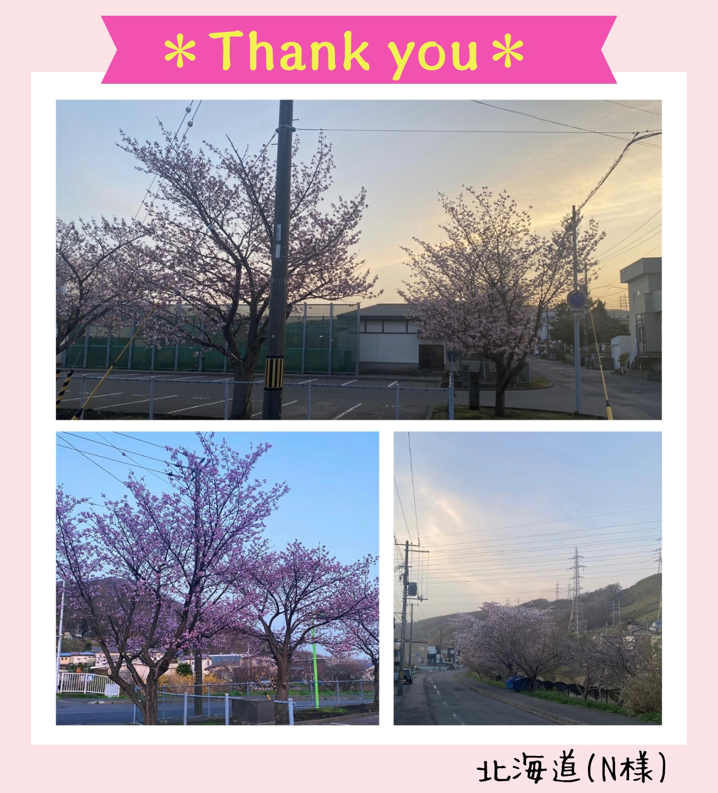 image3.jpeg