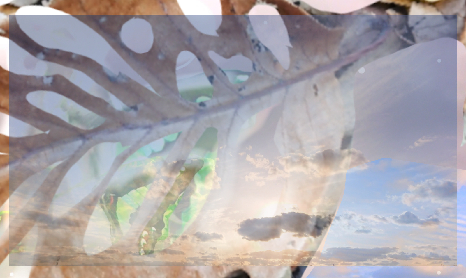 sketch-1669935856635 (3).png