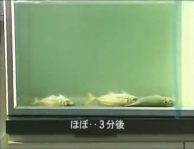 スクリーンショット (3631).png