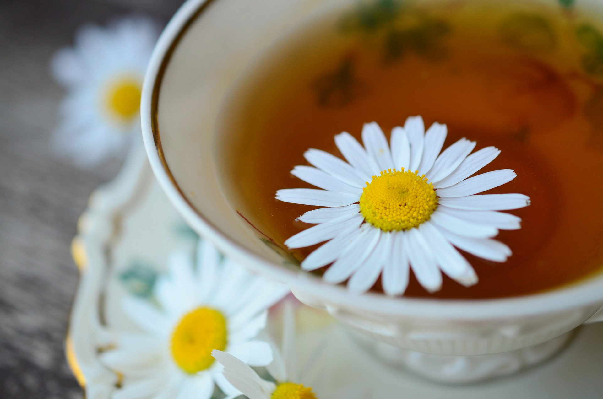 chamomile-829487_1920.jpg