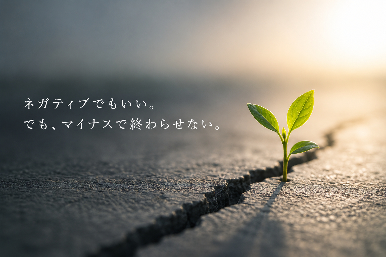 31e3ca05-d1a9-446a-a301-cef922448c34.png