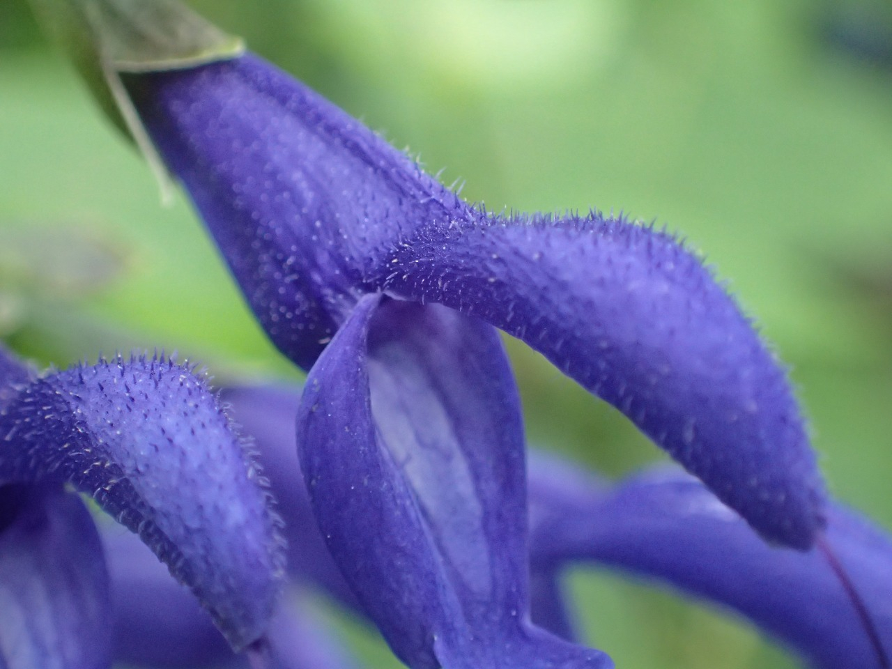 PA120415.JPG