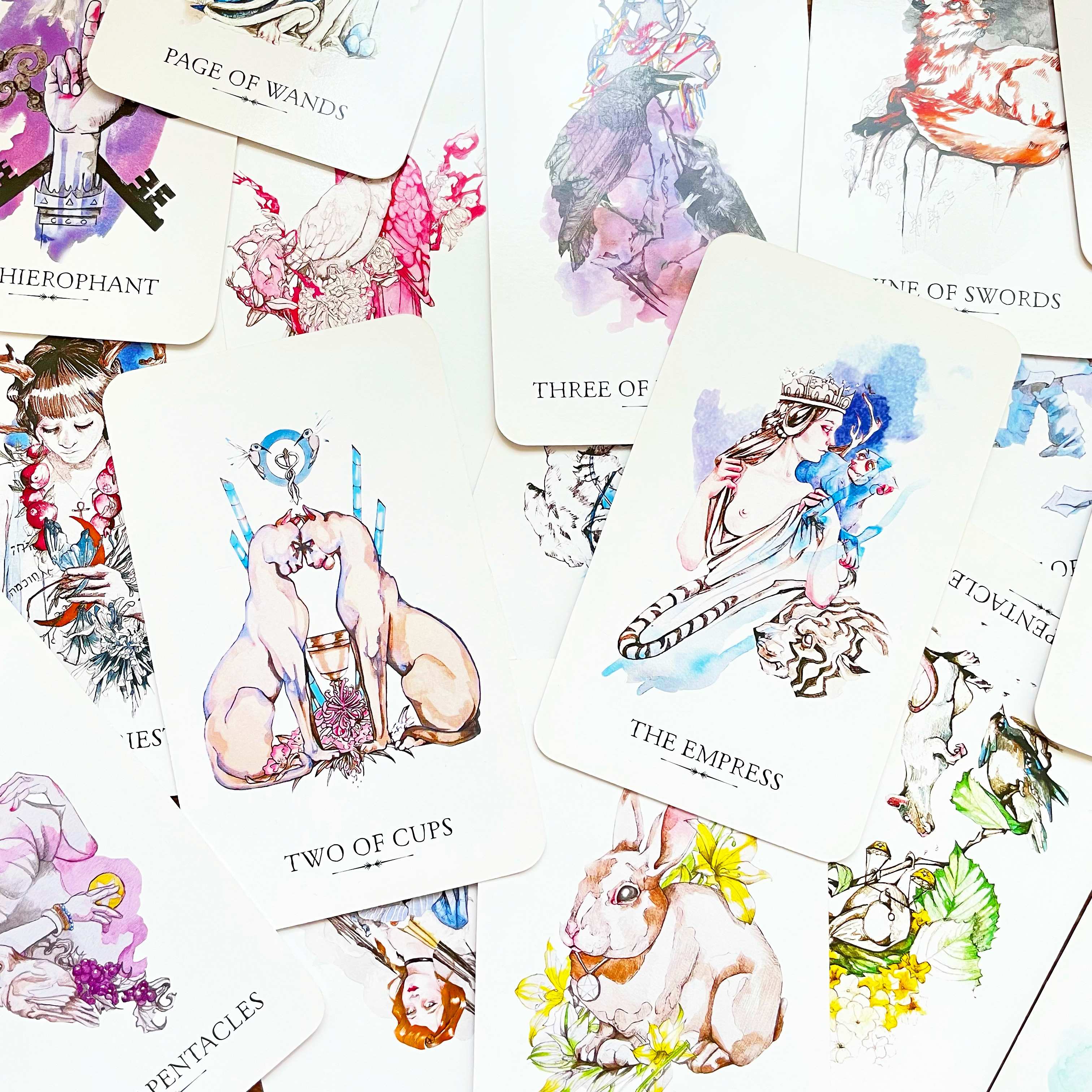 28D46C12-6348-4367-900E-1B15FE08BA2D 2.JPG