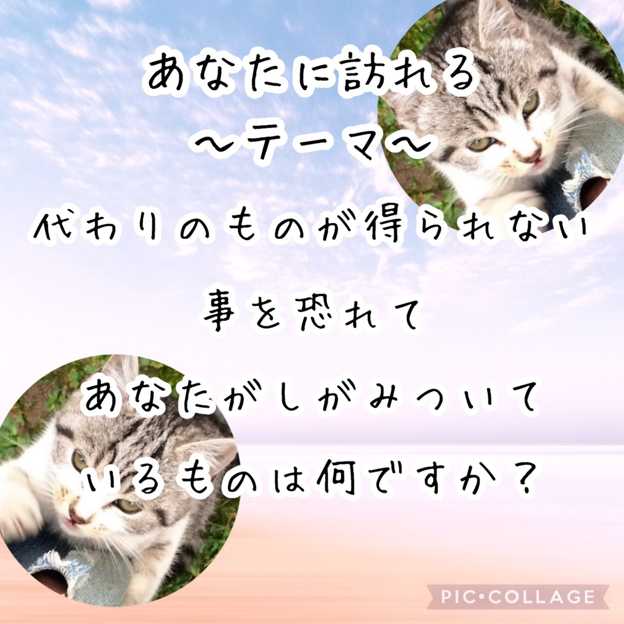 S__55164932.jpg