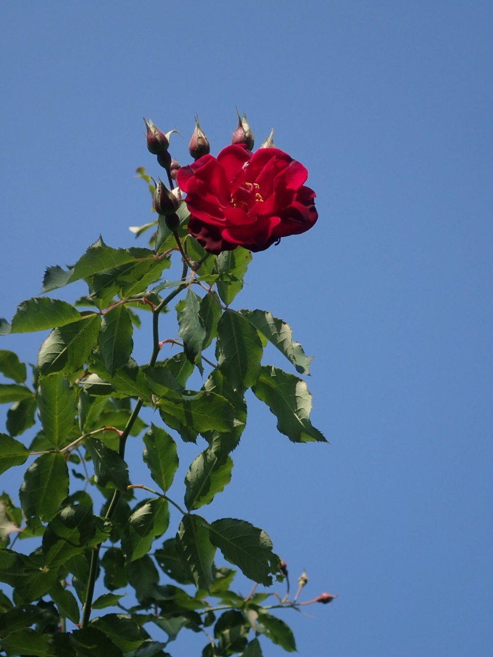 PB160002.JPG
