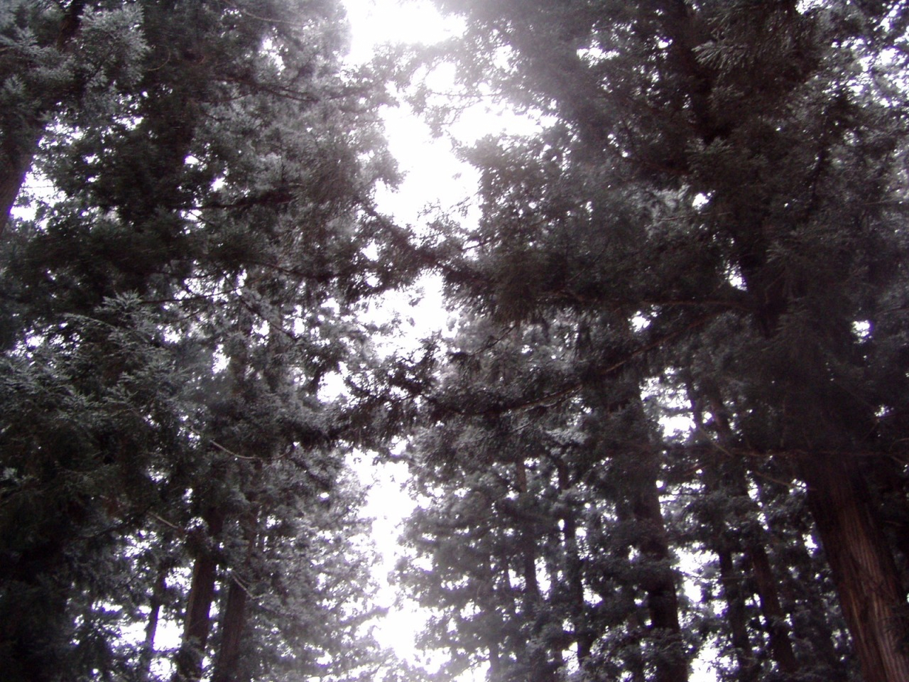 P1010009.JPG