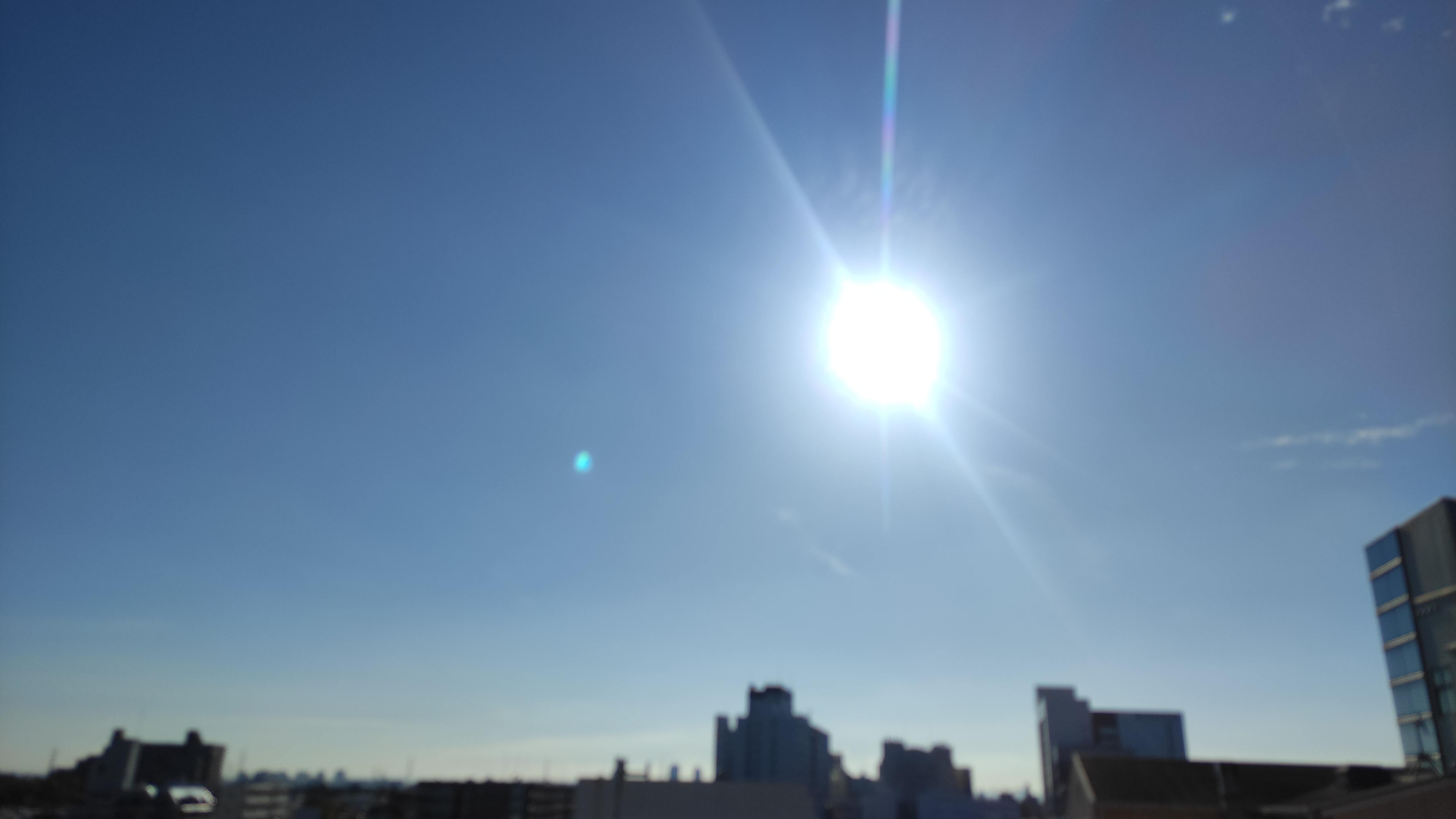 IMG_20230913_073926.jpg