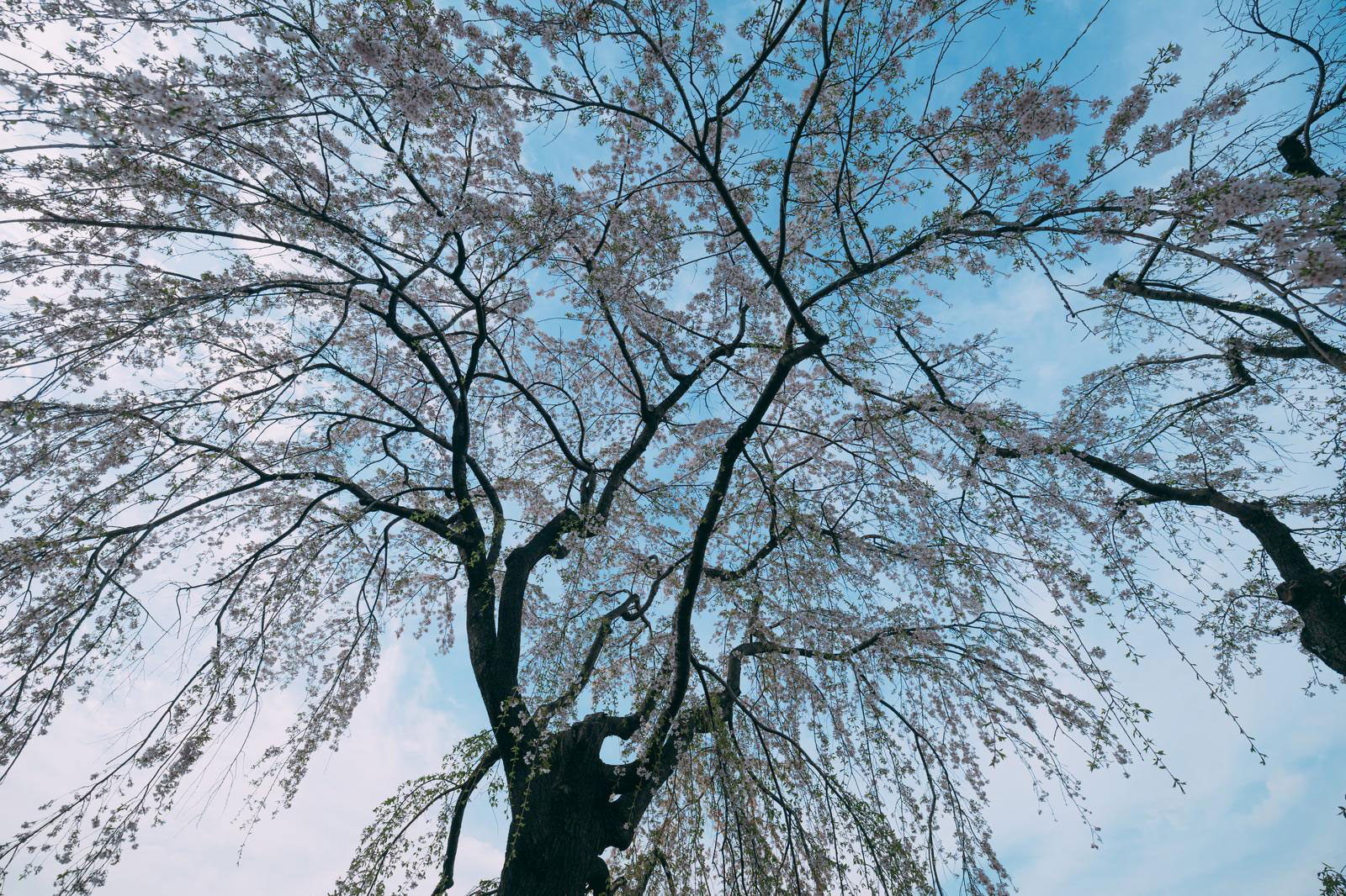 元00029.jpg