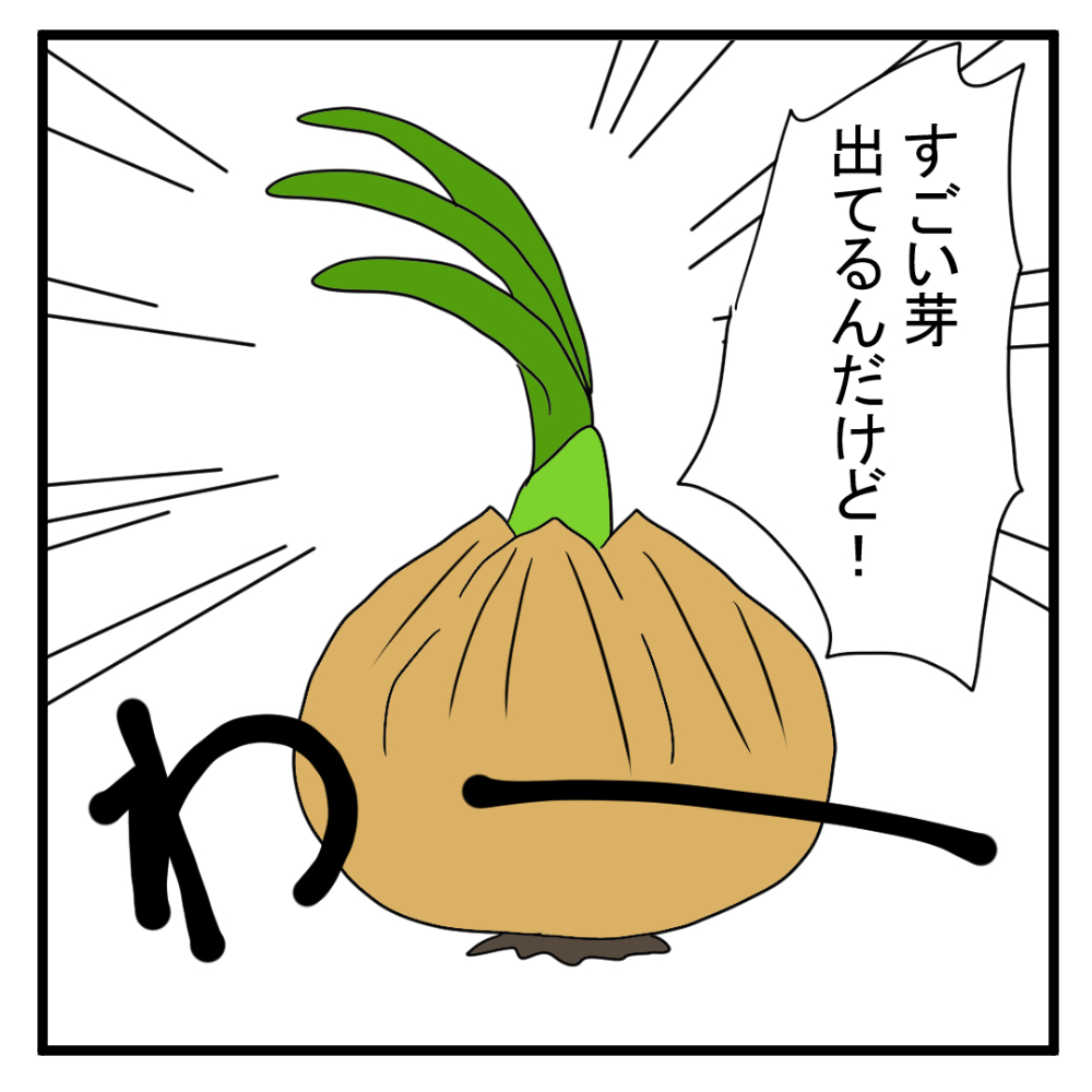10-3.jpg