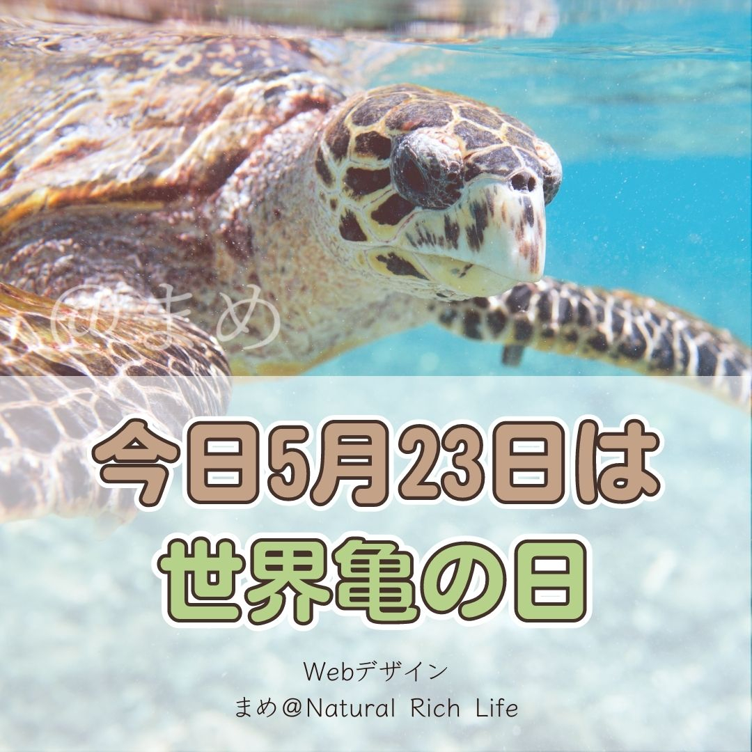 今日5月23日は.jpg