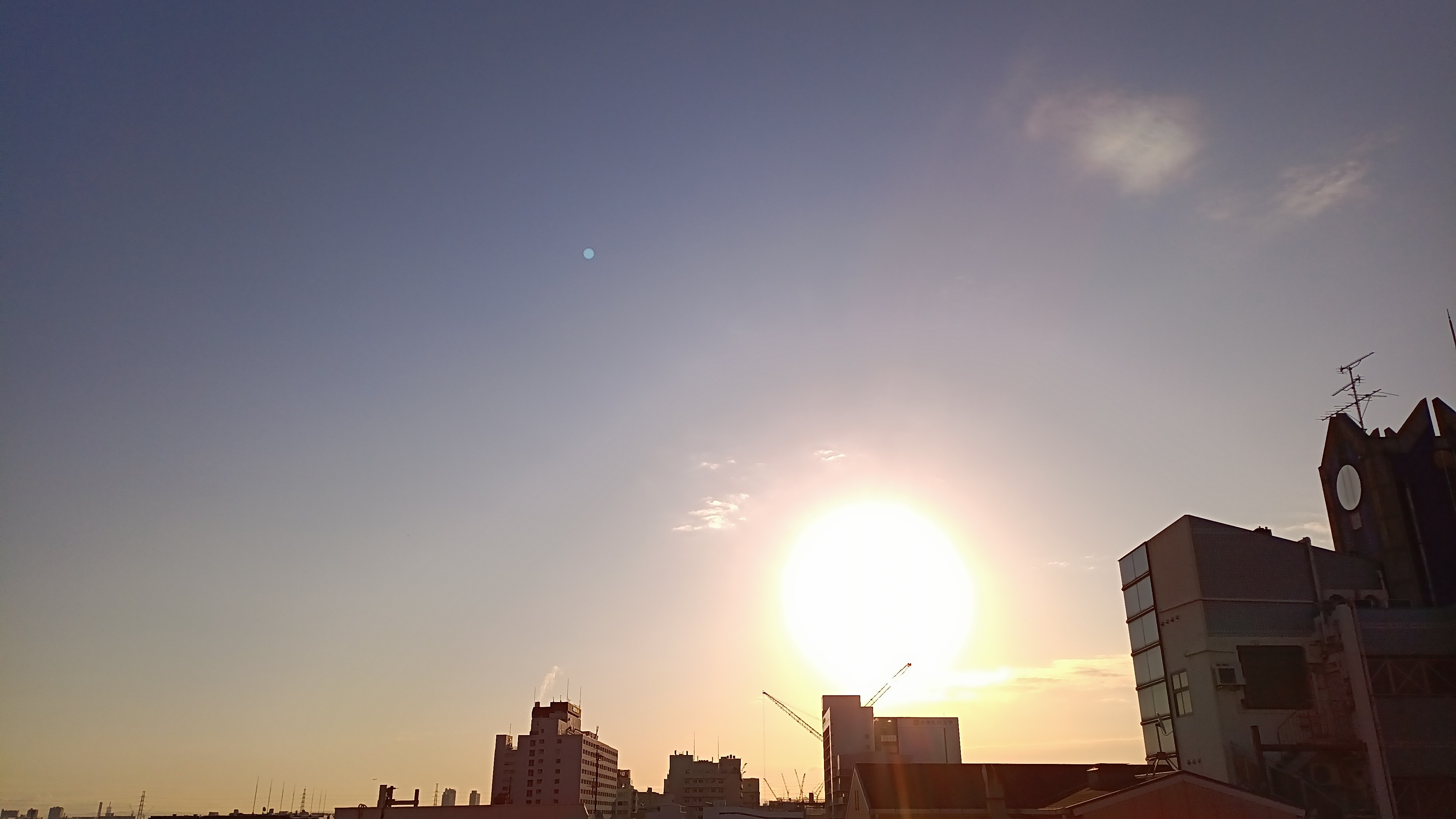 IMG_20250218_074043_524.jpg