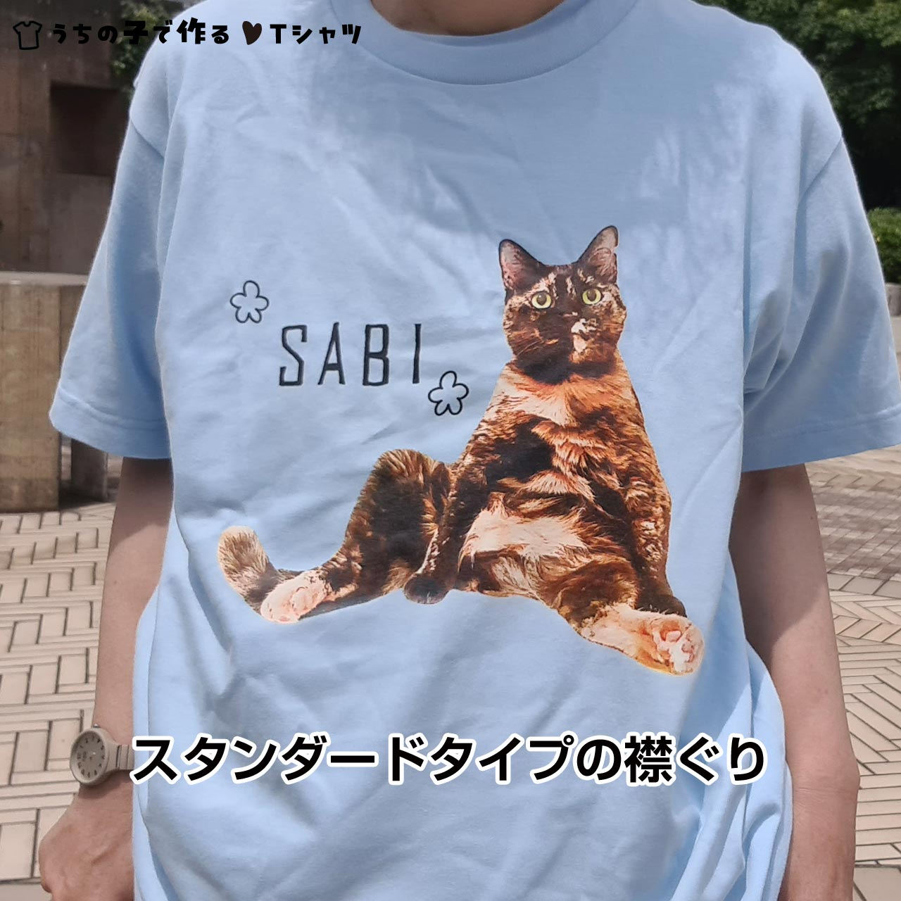 Tshirt_illustPic2*.jpg