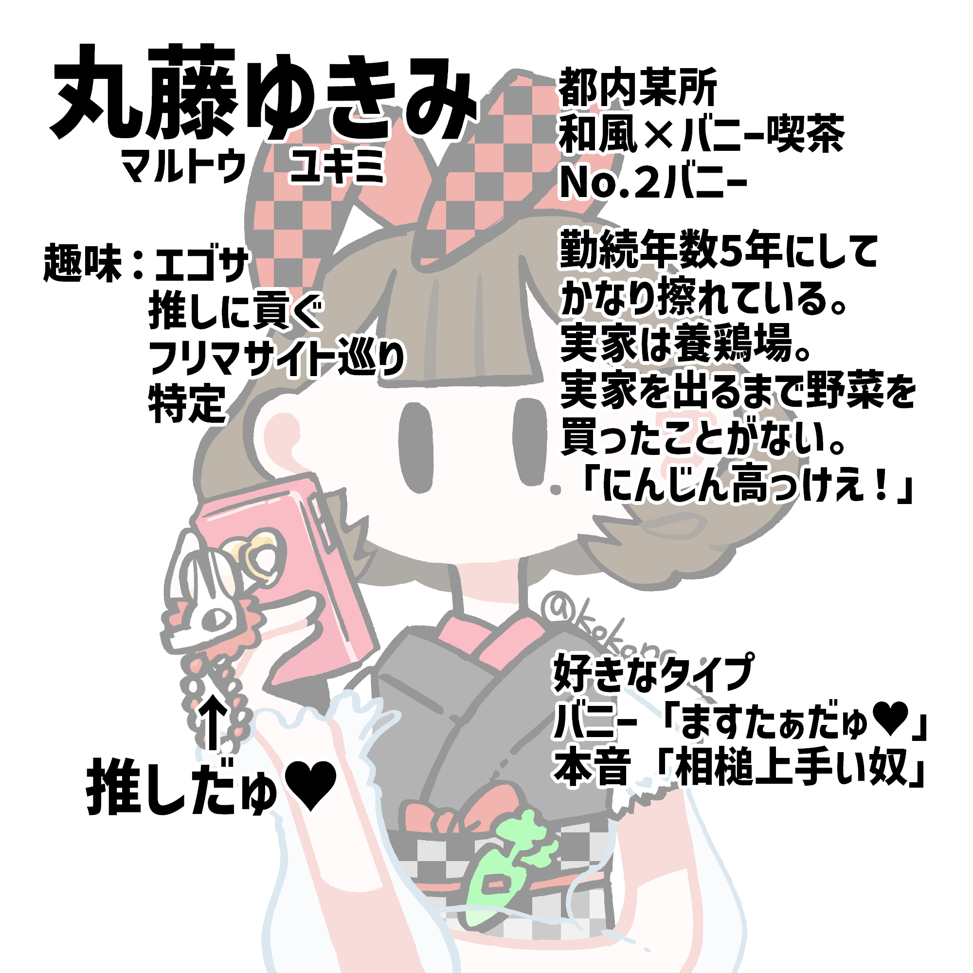 丸藤ゆきみ謎プロフィール.png