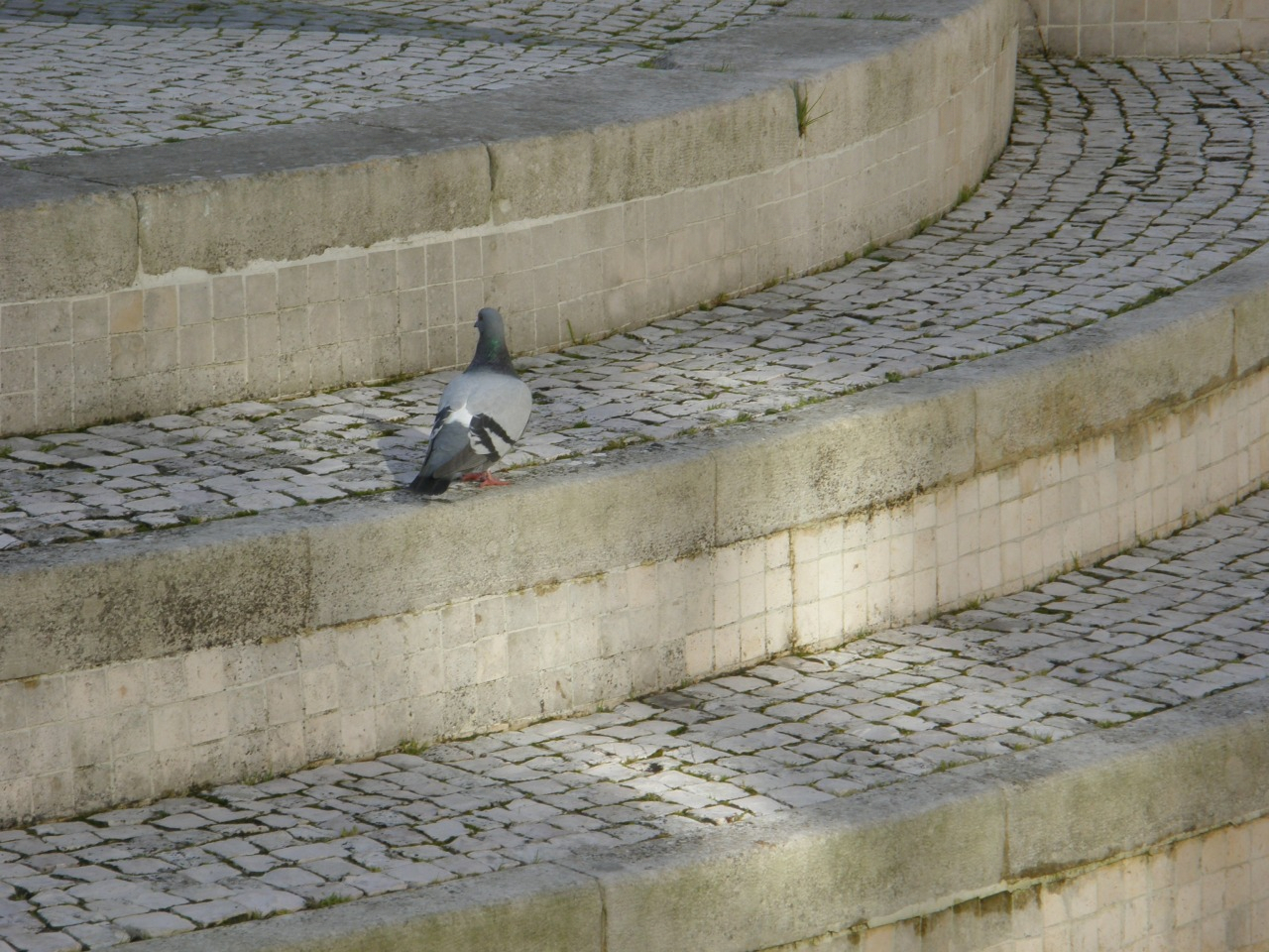 P1251258.JPG