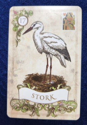 20230529_083232 (002).jpg