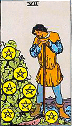 7_pentacles.png