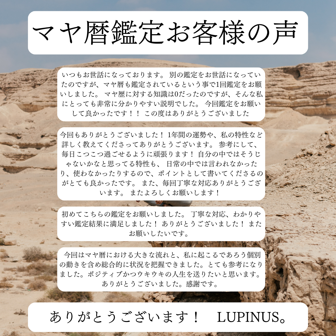 マヤ暦鑑定感想.png