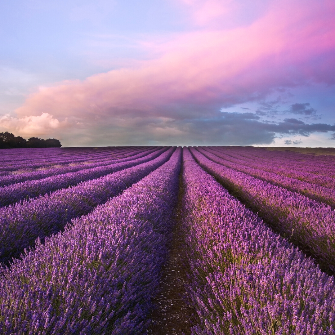 名称未設定のデザイン (75).png