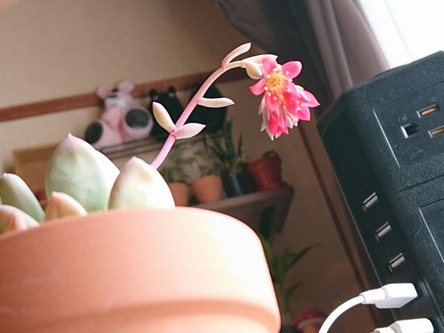 22-03-19-10-40-14-218_photo.jpg