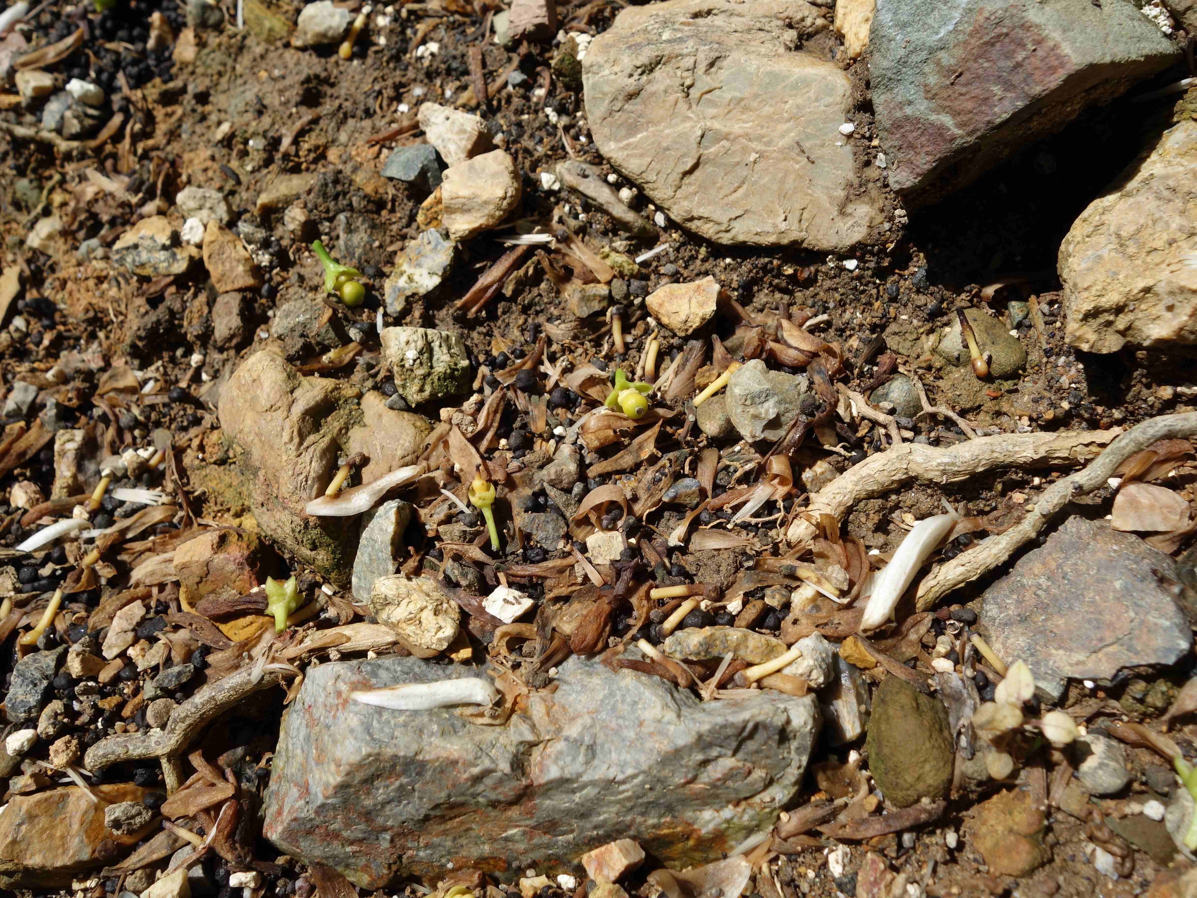 DSC01176.JPG