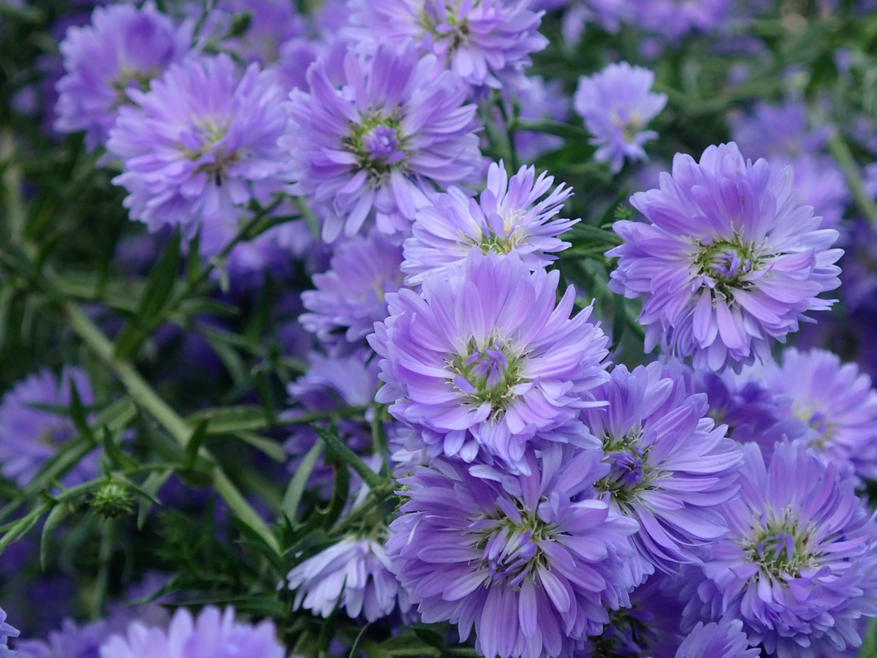 PB080246.JPG