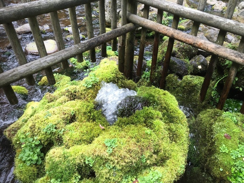 湧水４.jpg