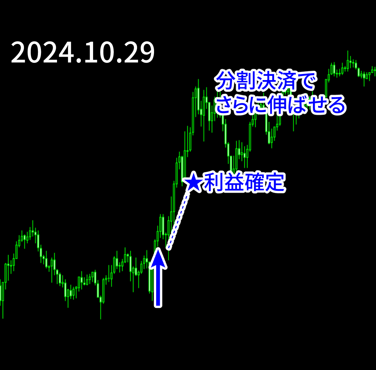 エントリー例_241029.png