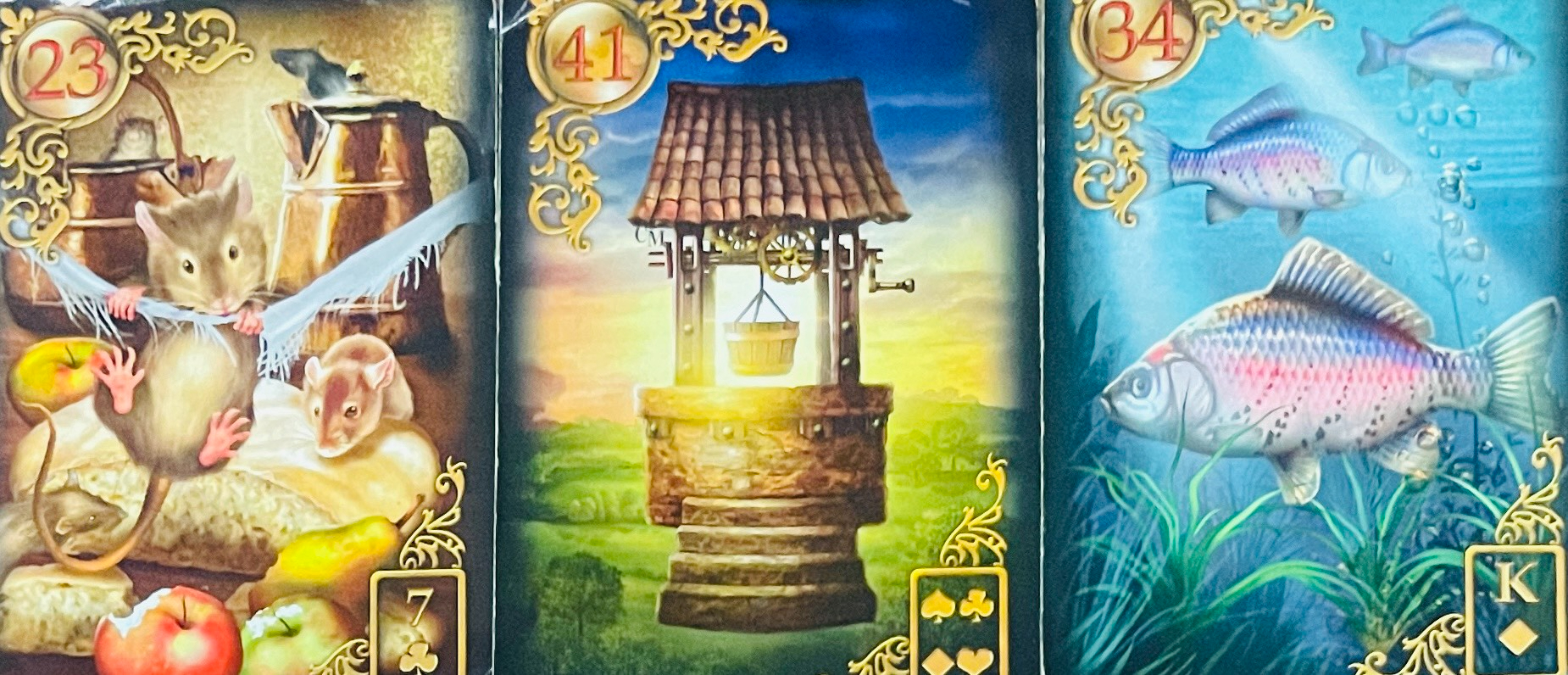 S__198090754.jpg