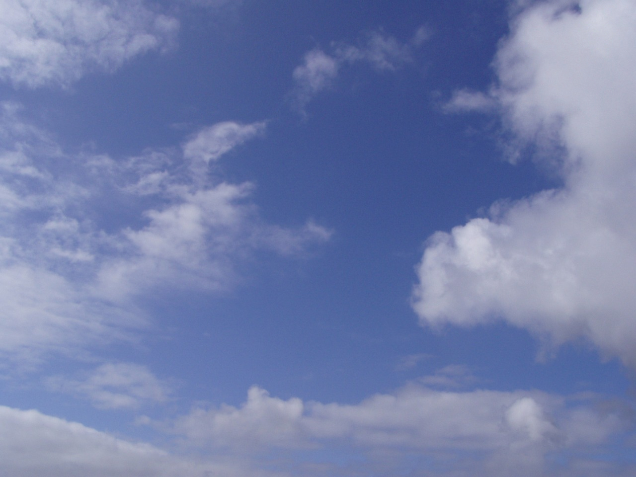 P1010001.JPG
