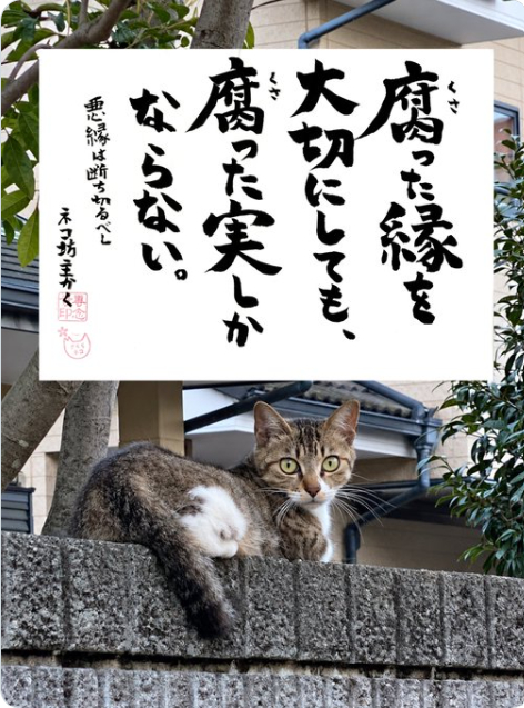 スクリーンショット 2026-10-25 142407.png