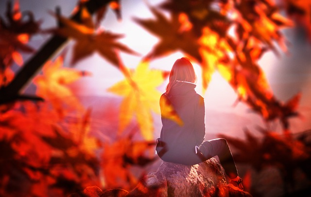 fall-4444445_640.jpg