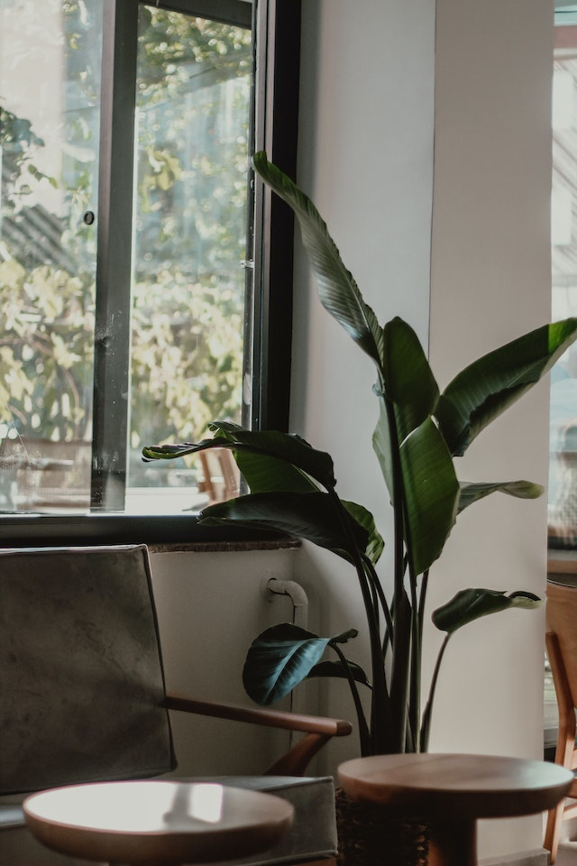pexels-sena-aykut-14237657.jpeg