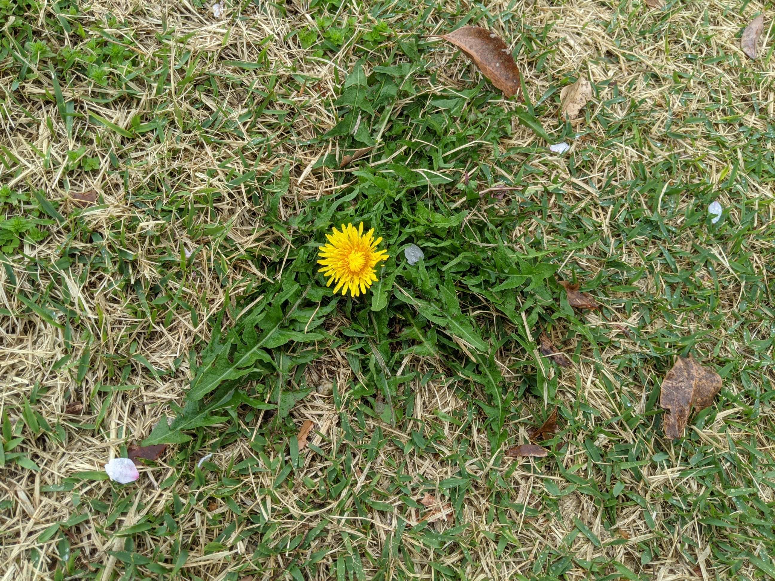 PXL_20210405_013429101.jpg