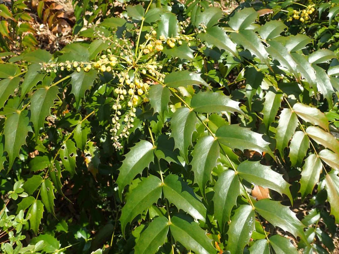 P3221673.JPG