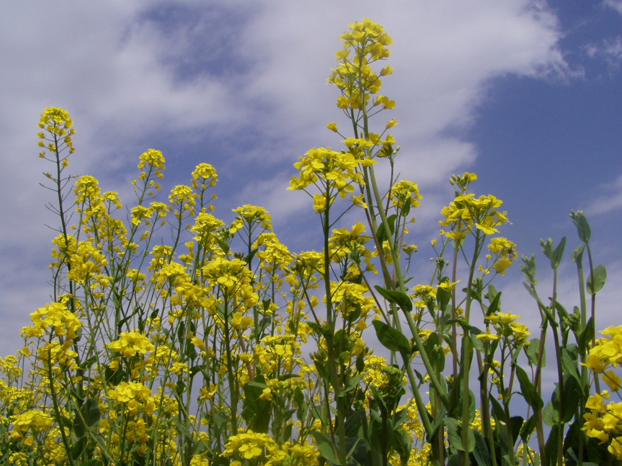 P1010011.JPG