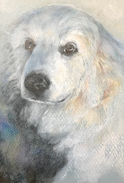 白犬の忠誠.jpg