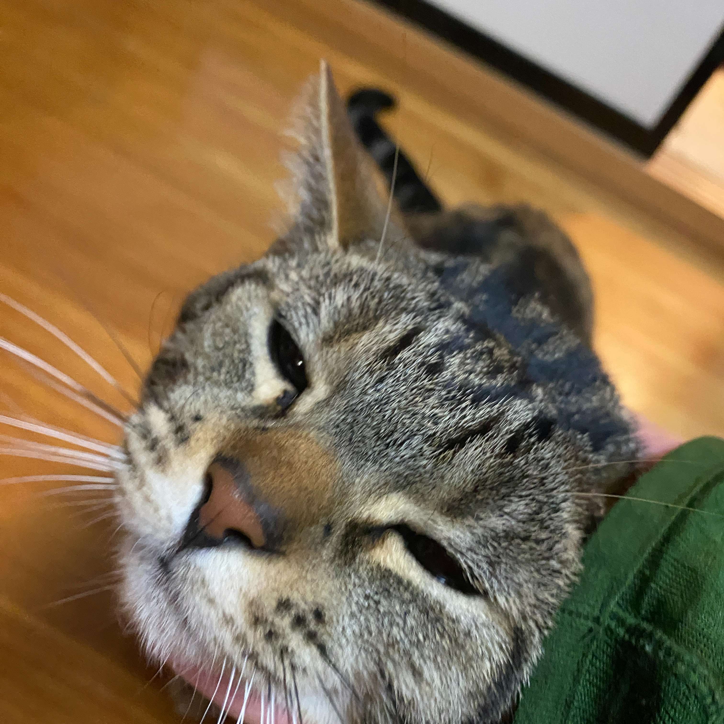 IMG_5752.jpeg