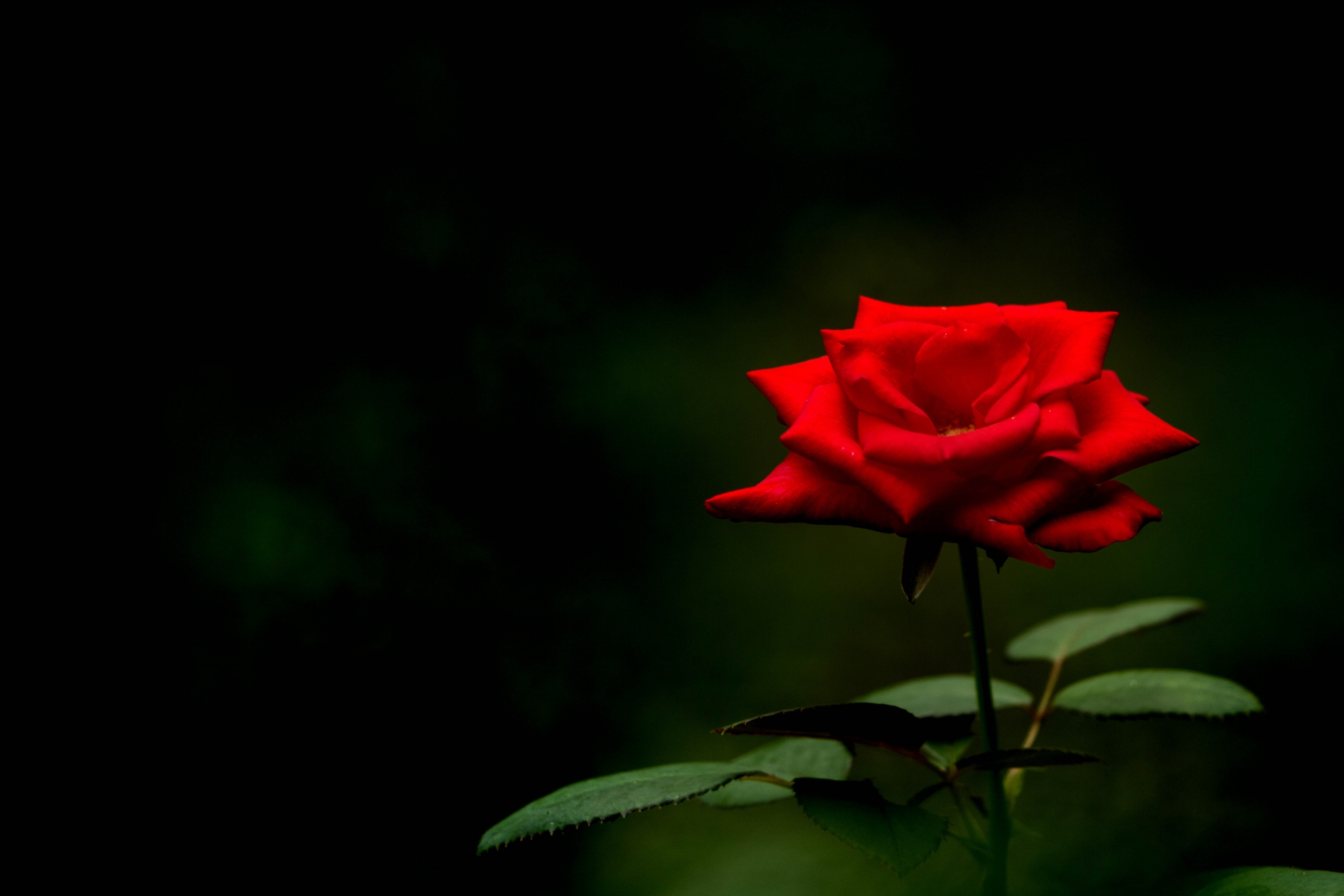 73EA6FD5-DD09-46B5-85BB-4752CB6C9C29.jpeg
