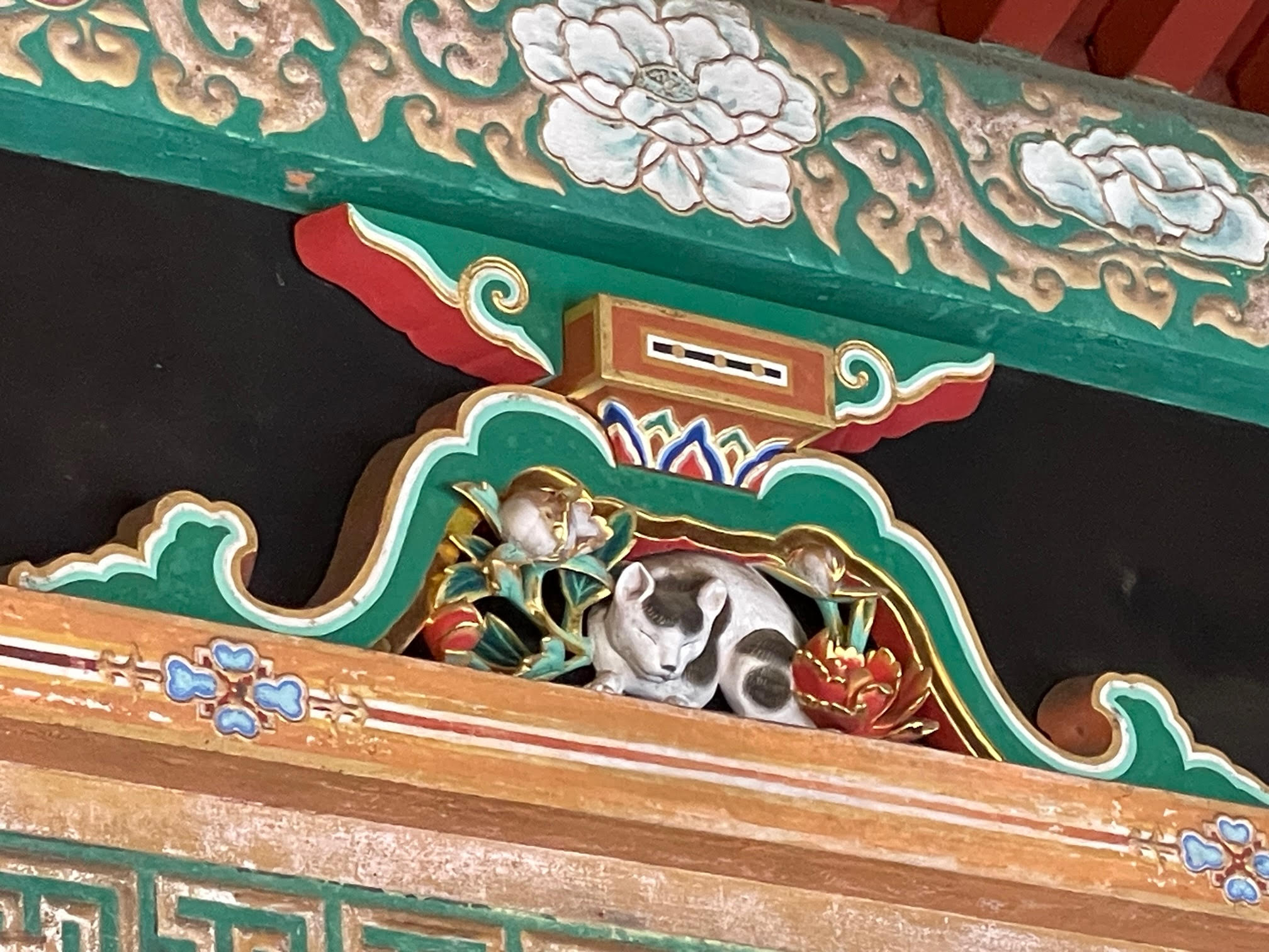 眠り猫.jpg