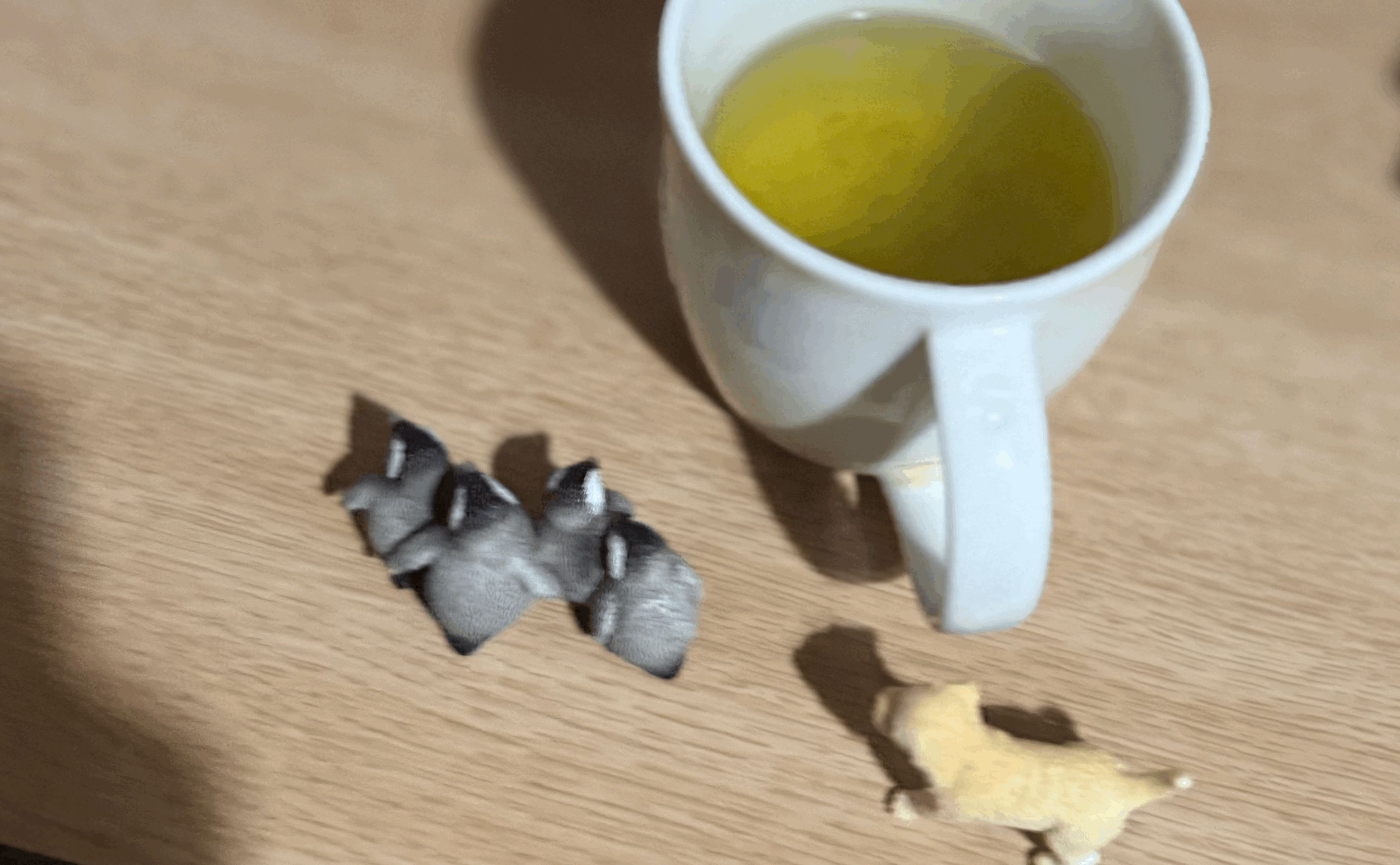 tempImageoWRdy3.gif