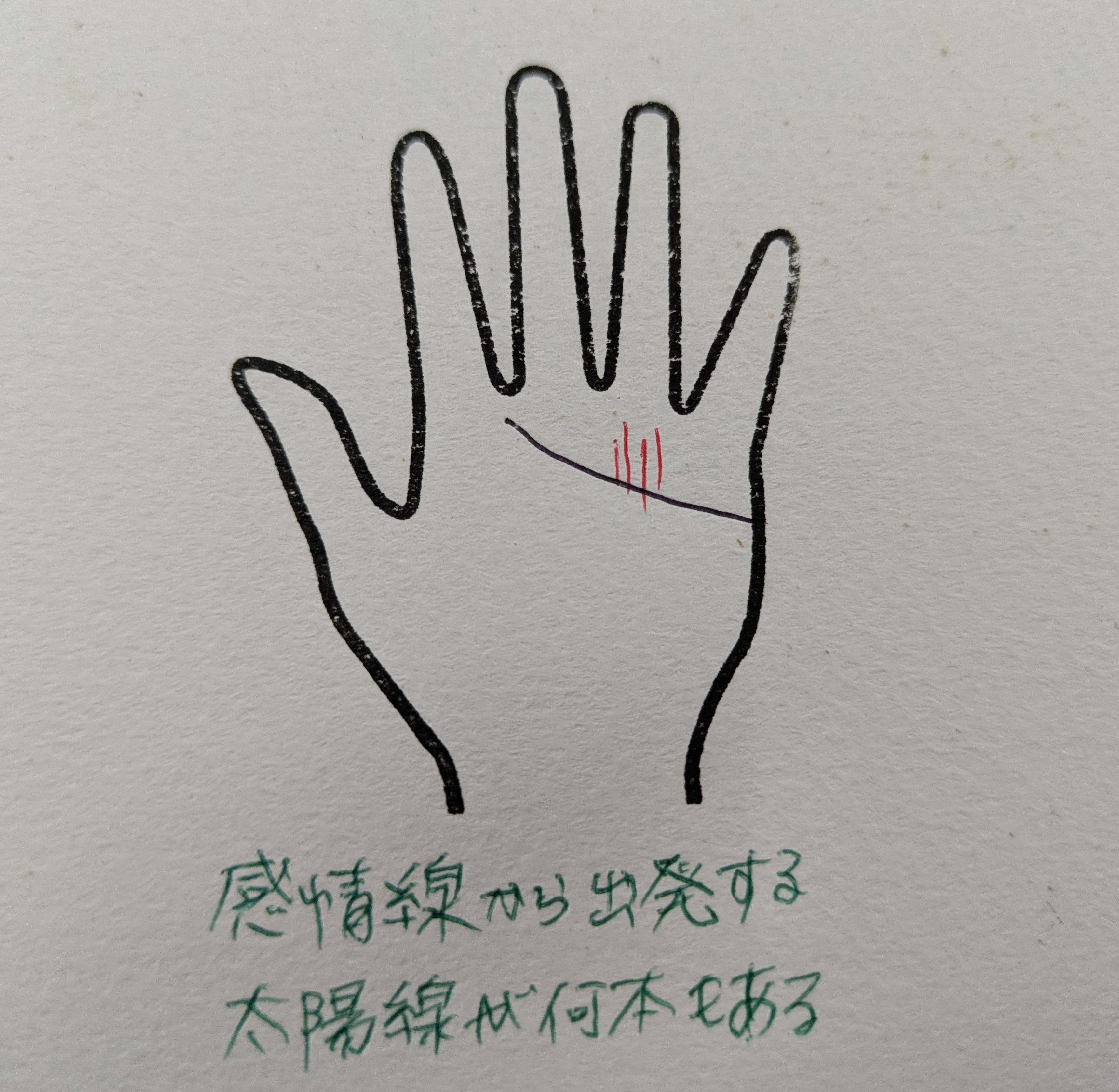 PXL_20251019_212633469.jpg